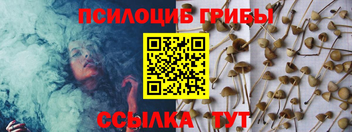 Псилоцибиновые грибы Psilocybine cubensis Янаул